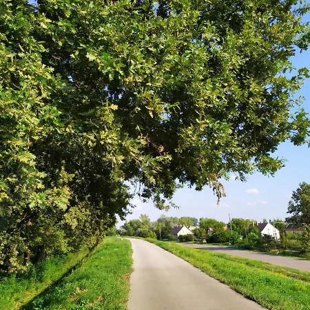 Faluház Tiszasüly * Tiszasuly